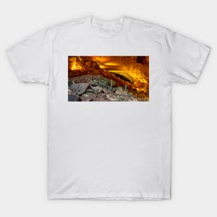 Entering the Carlsbad Caverns T-Shirt